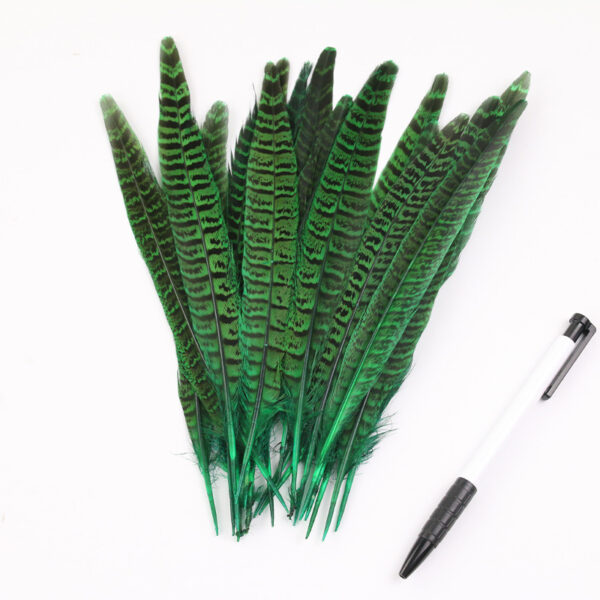 Diy Female Chicken Tail Feather Accessories - Image 2
