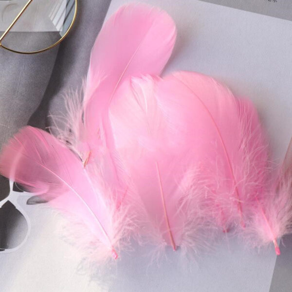 Color Feather DIY Medium Floating Dyeing Goose Feather Dream Catching Net Material - Image 2