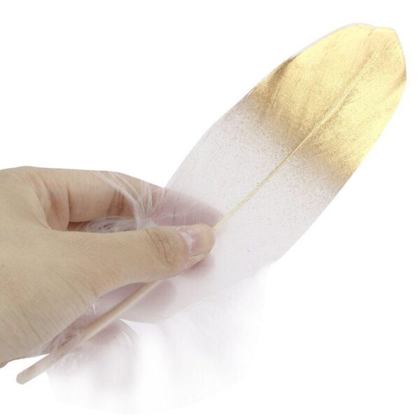 Colorful Soft Goose Feather Decorations - Image 2