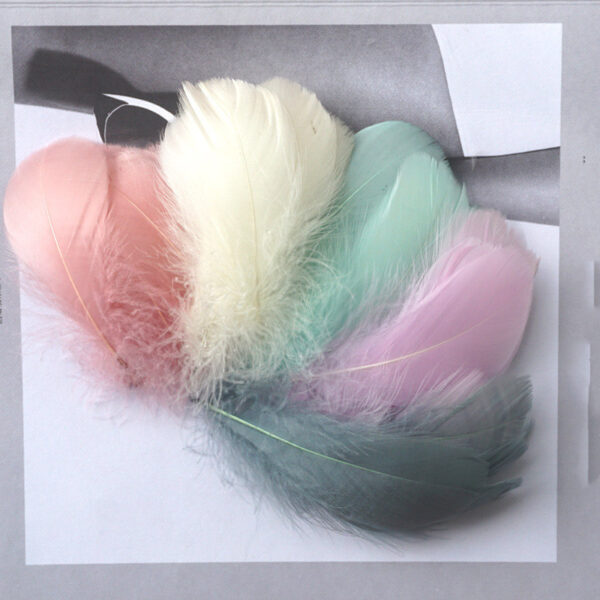Color Feather DIY Medium Floating Dyeing Goose Feather Dream Catching Net Material - Image 4