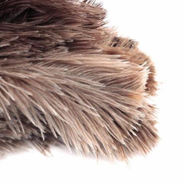 Feather Sweep Anti Static Dusting Duster Cleaning Duster - Image 4
