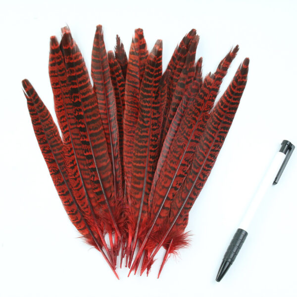 Diy Female Chicken Tail Feather Accessories - Image 3