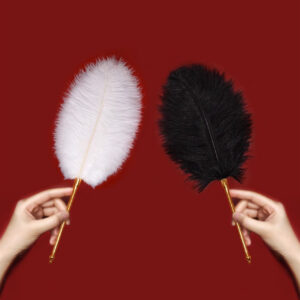 Training Feather Tickling Feet  Toy