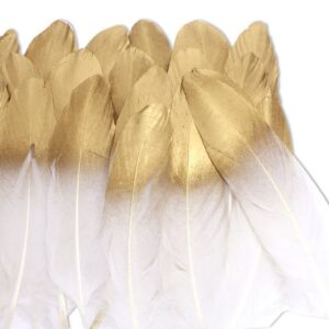 Colorful Soft Goose Feather Decorations