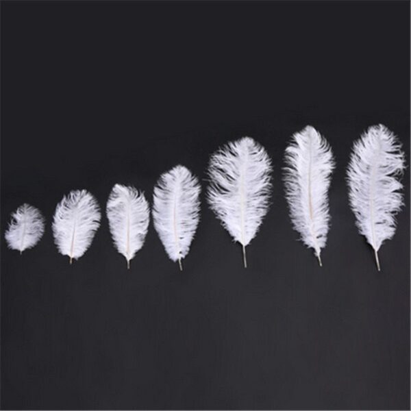 Performance jewelry accessories feather - Image 9
