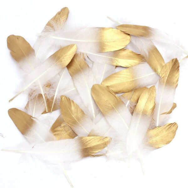 Colorful Soft Goose Feather Decorations - Image 3