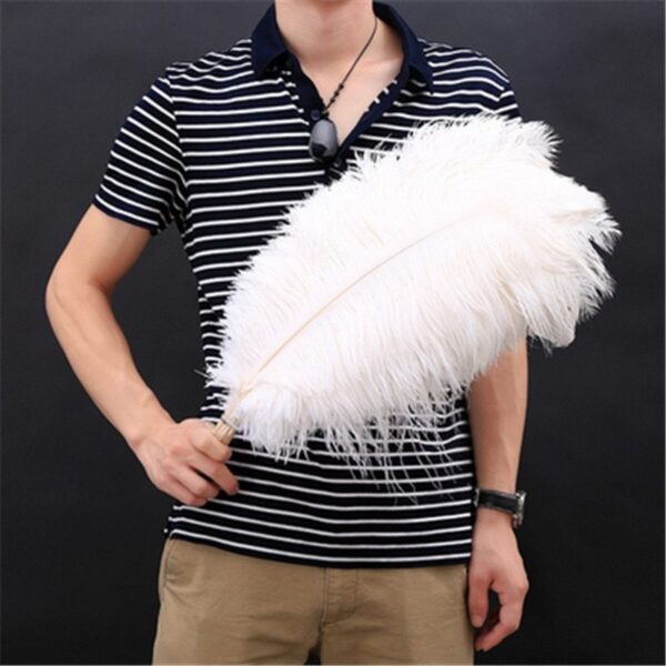 Performance jewelry accessories feather - Image 7