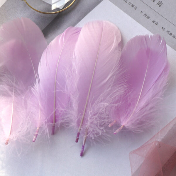 Color Feather DIY Medium Floating Dyeing Goose Feather Dream Catching Net Material - Image 7