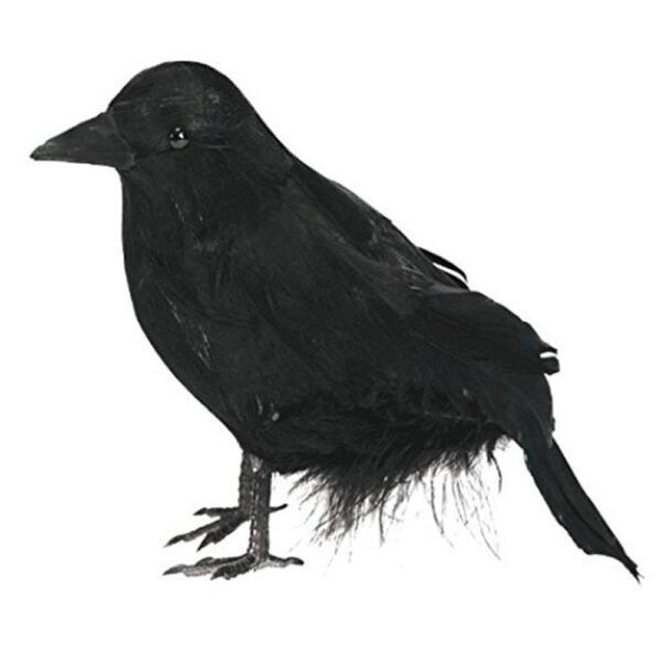 Simulation Winged Feather Crow - Image 5