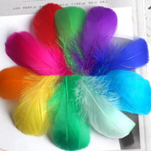 Color Feather DIY Medium Floating Dyeing Goose Feather Dream Catching Net Material