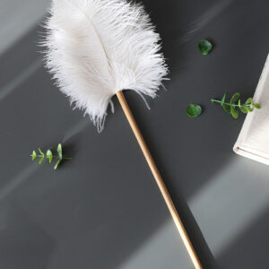 Duster Household Artifact Decoration Handicraft Chicken Feather Duster