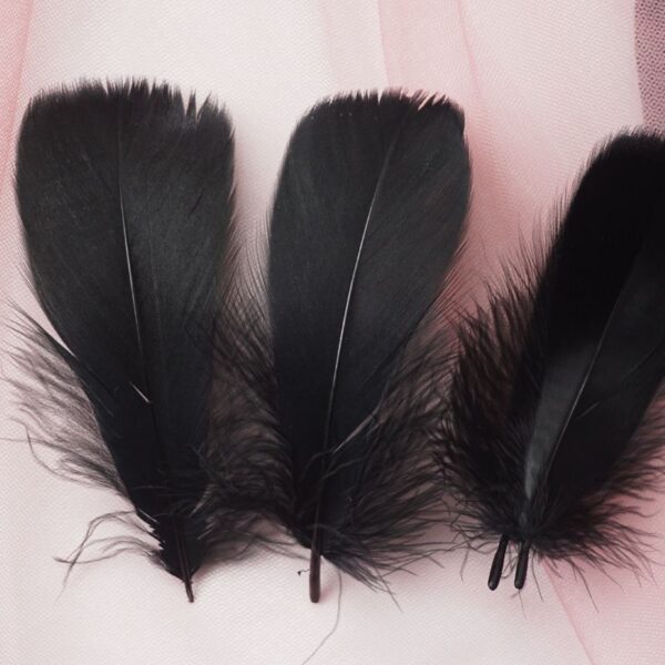 Macaron Color Feather Diy Decoration Cat Teaser Material - Image 10