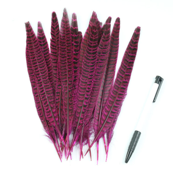 Diy Female Chicken Tail Feather Accessories - Image 10