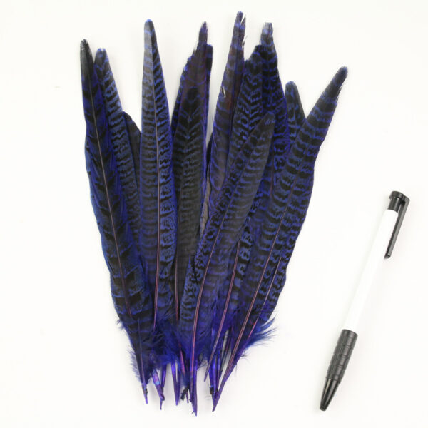 Diy Female Chicken Tail Feather Accessories - Image 4