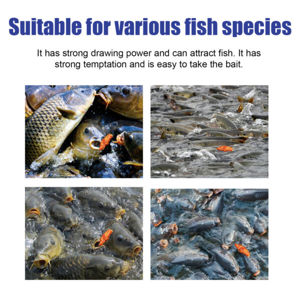 Yegbong Bait Lure Bait, Fishing Bait, Fish Attractant, Wild Fishing Bait, Crucian Carp, Tilapia, Attractant - Image 6