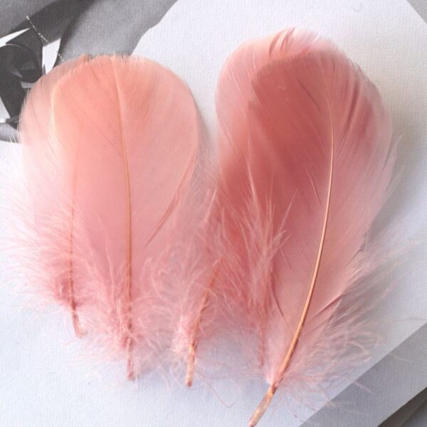 Macaron Color Feather Diy Decoration Cat Teaser Material - Image 3