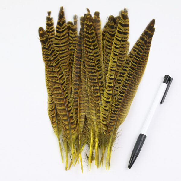 Diy Female Chicken Tail Feather Accessories - Image 5