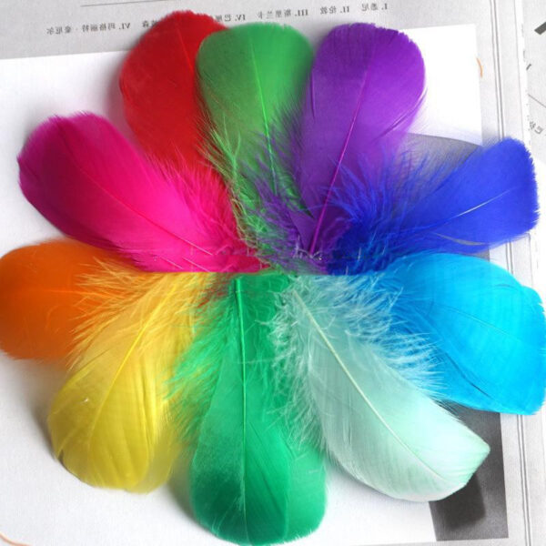Color Feather DIY Medium Floating Dyeing Goose Feather Dream Catching Net Material - Image 6