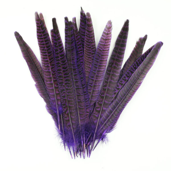 Diy Female Chicken Tail Feather Accessories - Image 8