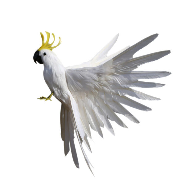Simulation Feather Parrot Ornament Home Decoration - Image 5