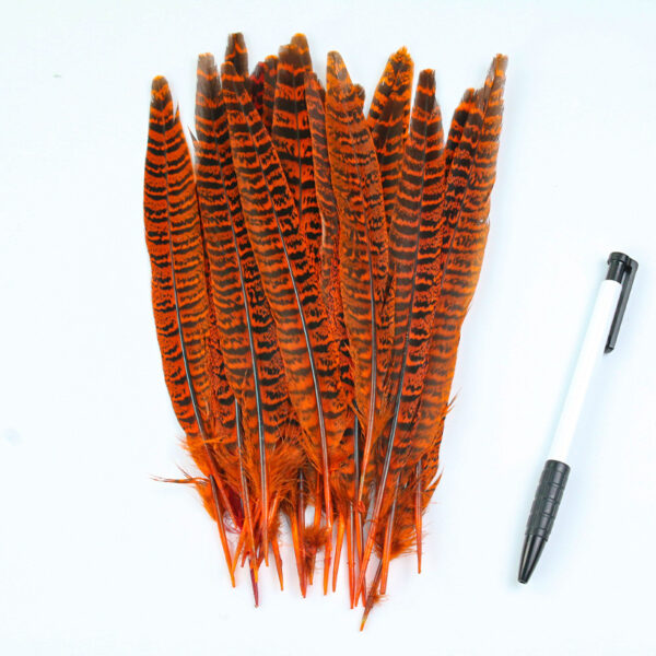 Diy Female Chicken Tail Feather Accessories - Image 6