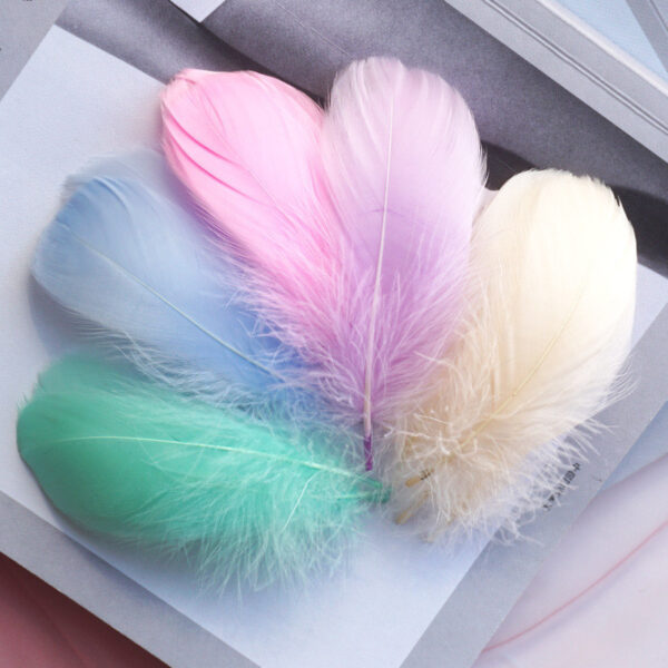 Color Feather DIY Medium Floating Dyeing Goose Feather Dream Catching Net Material - Image 3