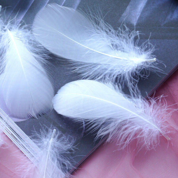 Color Feather DIY Medium Floating Dyeing Goose Feather Dream Catching Net Material - Image 5