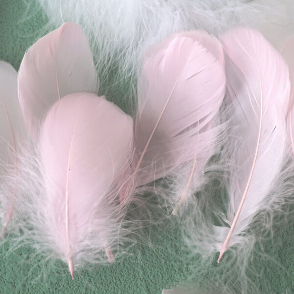 Macaron Color Feather Diy Decoration Cat Teaser Material - Image 5
