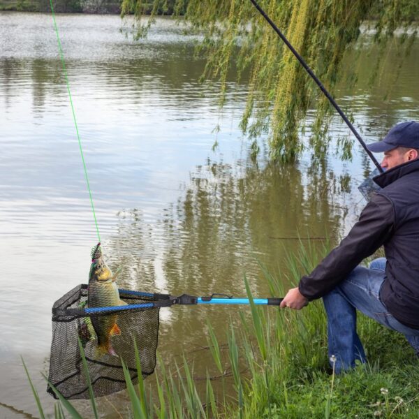 1Pc Foldable Fishing Net With Aluminum Alloy Rod EVA Handle Durable 5MM Hexagonal Nano Coating Nylon Mesh Collapsible Landing Net Safe Fish Catching Or Releasing - Image 8