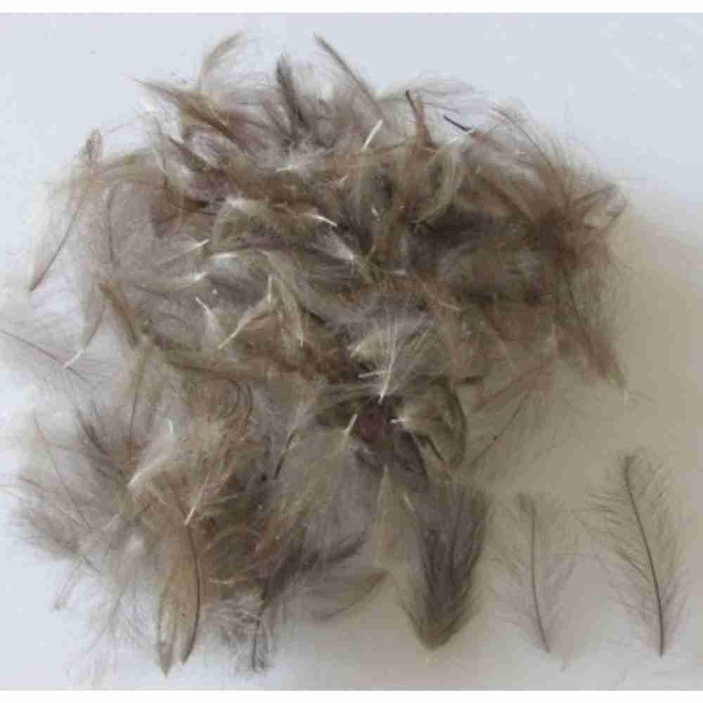 Duck Feathers Items
