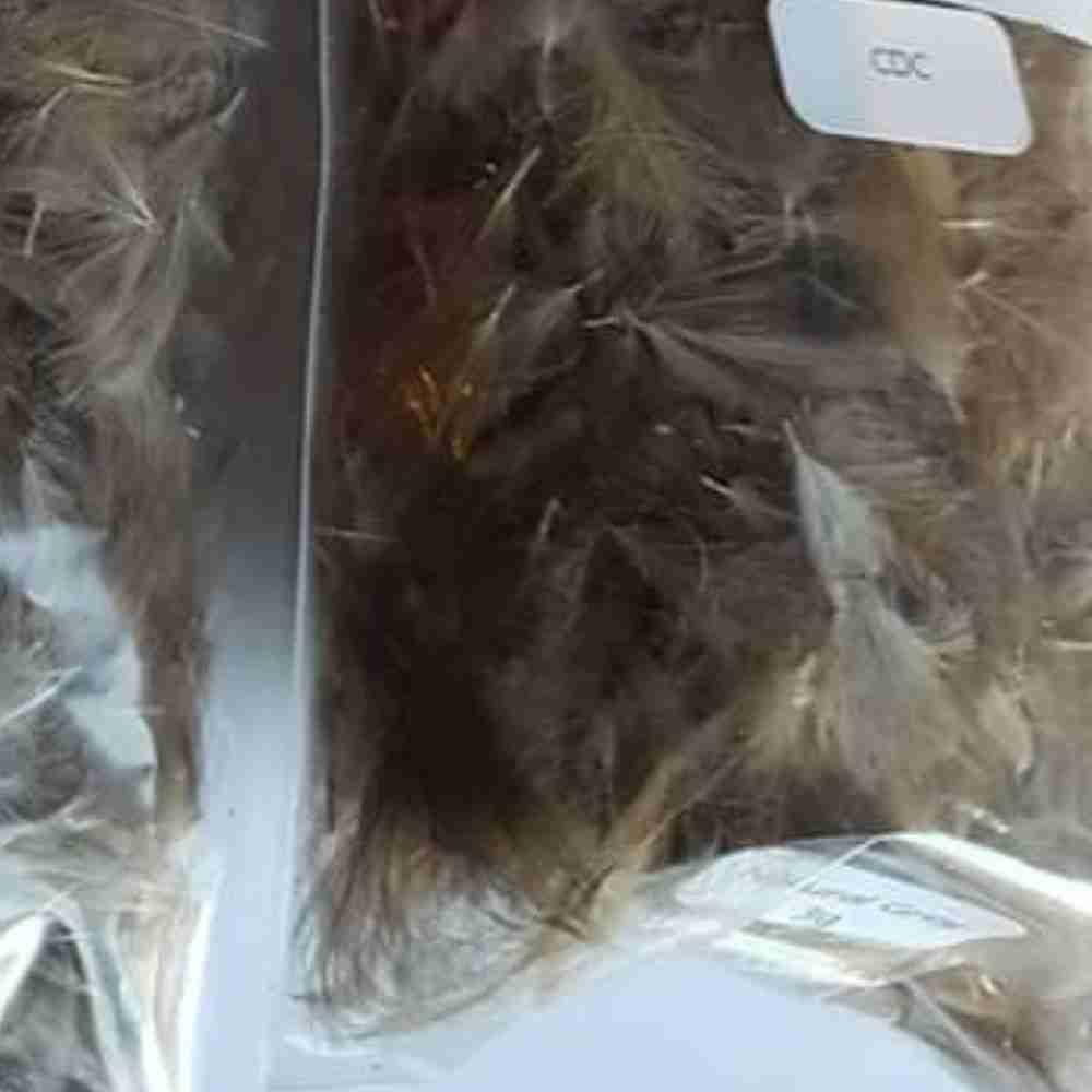Duck Feathers Items - Image 9
