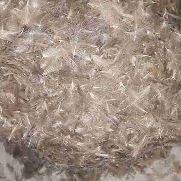Duck Feathers Items - Image 7
