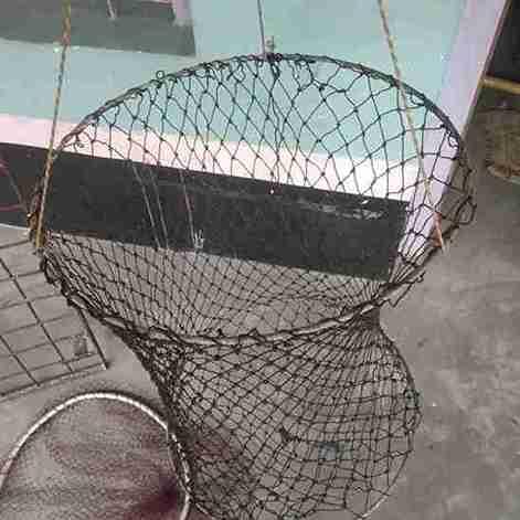 Fishing Nets - Image 12