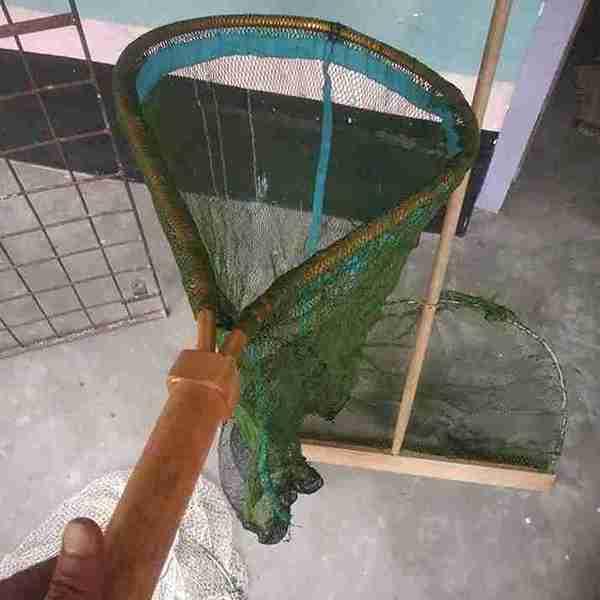 Fishing Nets - Image 11