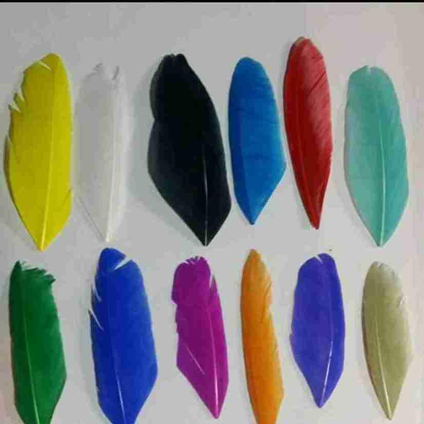 Where to Buy Decorative Feathers for Fly Tying Online