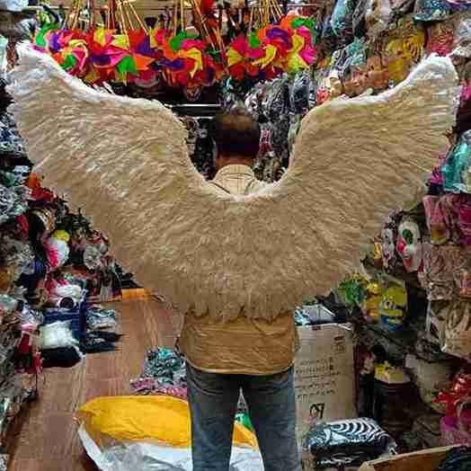 Decorative Feathers New
