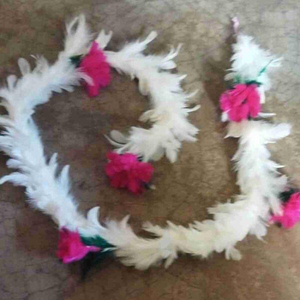 Decorative Feathers New - Image 9